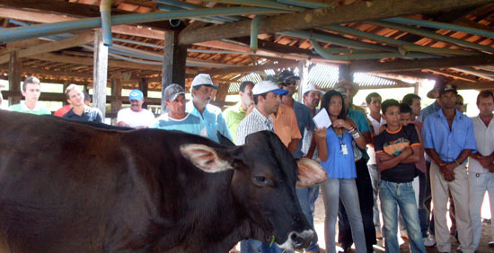 Curso de ordenha em mairi 14  display