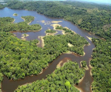 Reservat rio do iguape foto jos  nazal editada